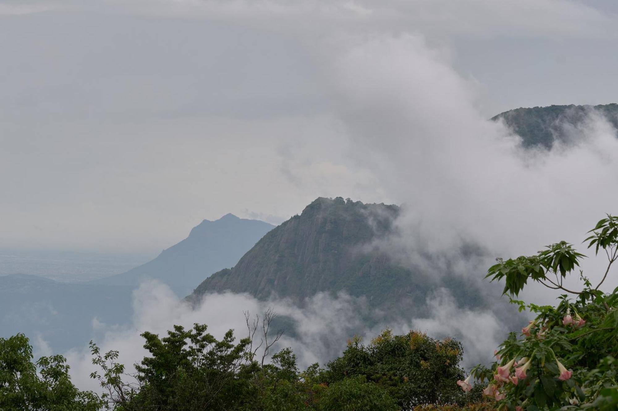 De Rock Jungle Living Resort Coonoor Extérieur photo