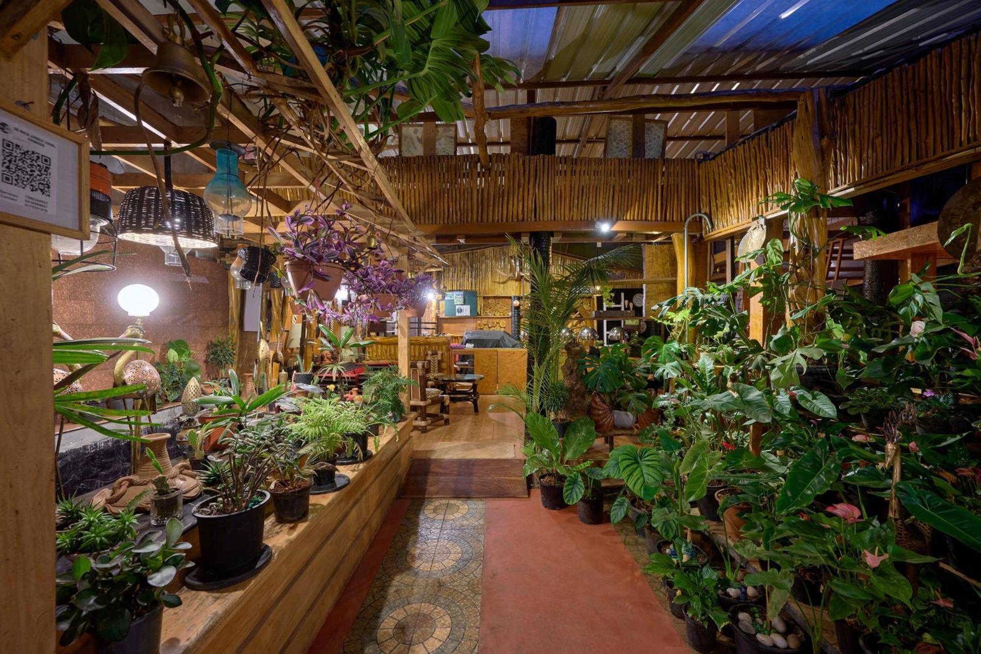 De Rock Jungle Living Resort Coonoor Extérieur photo