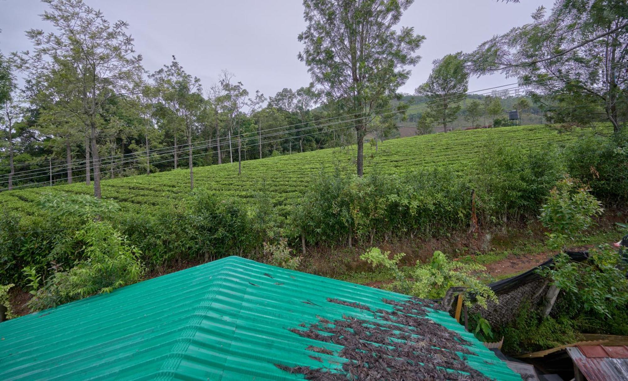 De Rock Jungle Living Resort Coonoor Extérieur photo
